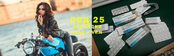 соль ск Богданович