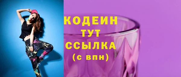 соль ск Богданович