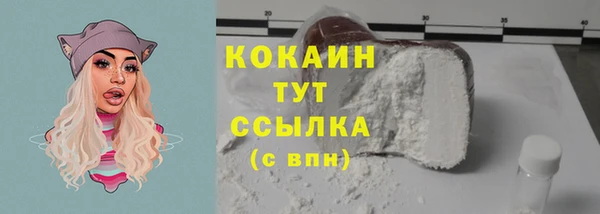 амф Богородицк