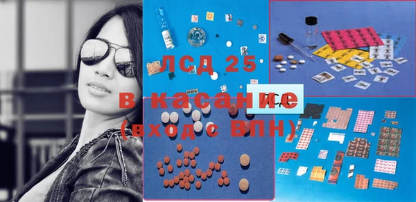 соль ск Богданович