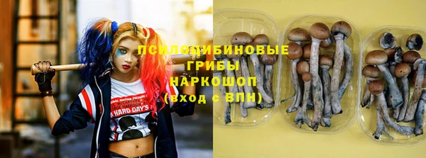 амф Богородицк