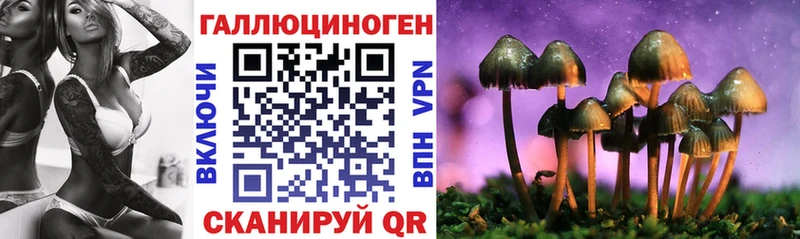 купить наркоту OMG рабочий сайт Псилоцибиновые грибы прущие грибы Якутск